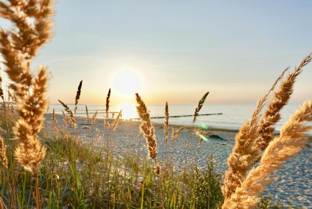 Ferienwohnung Strandurlaub Börgerende-Rethwisch エクステリア 写真
