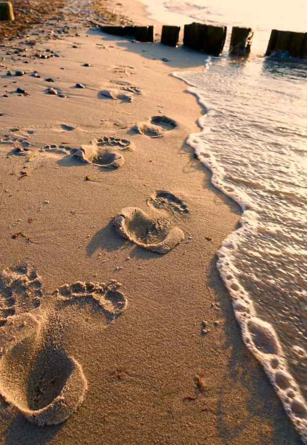 Ferienwohnung Strandurlaub Börgerende-Rethwisch エクステリア 写真